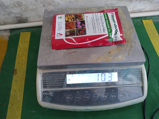 Carbendazim 500 g/l SC 98% TC 25% WP Fungicida per la prevenzione e il controllo delle malattie delle colture