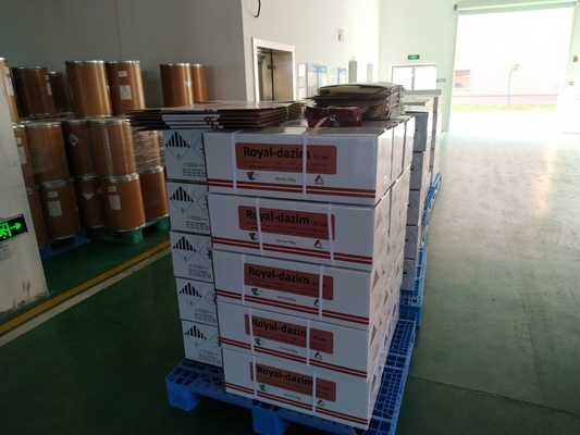 Carbendazim 500 g/l SC 98% TC 25% WP Fungicida per la prevenzione e il controllo delle malattie delle colture